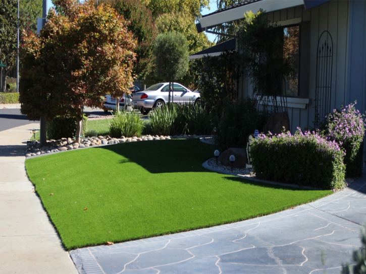 Fake Grass North Andover Massachusetts Landscape Back Yard