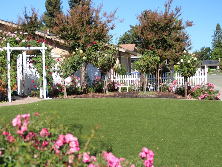 Fake Grass Norton Center Massachusetts Landscape Back Yard