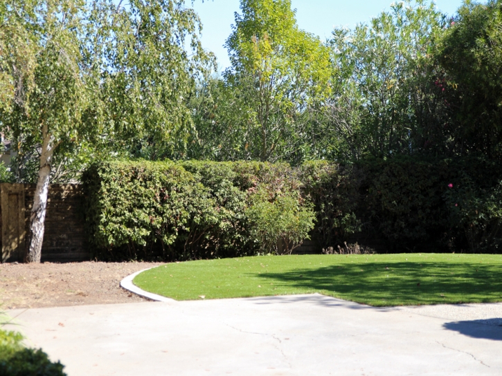 Fake Grass Stow Massachusetts Landscape Front Yard