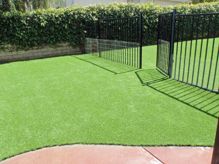 Fake Pet Grass Blackstone Massachusetts for Dogs