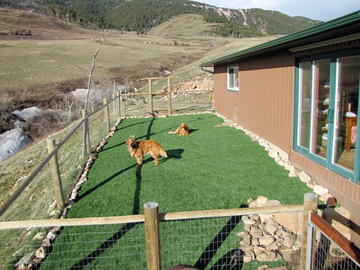Fake Pet Grass Nahant Massachusetts Installation Front Yard