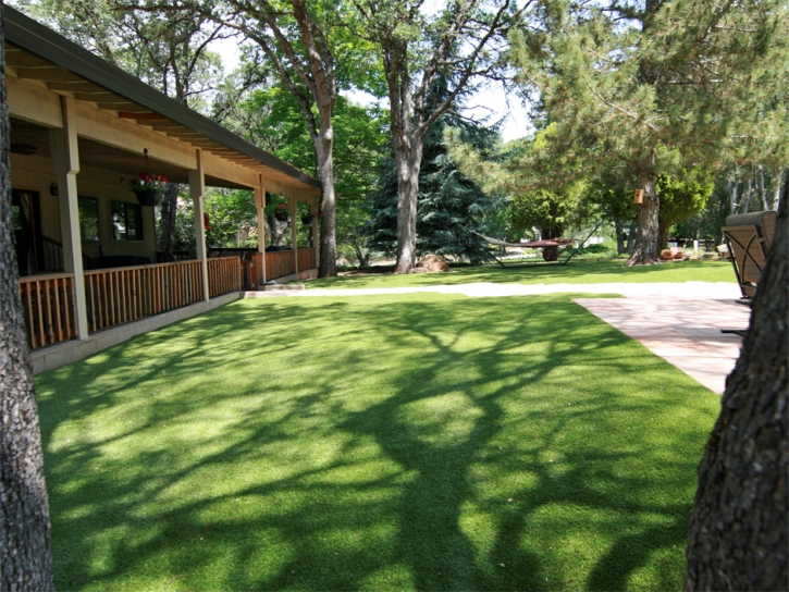 Fake Pet Turf Beverly Cove Massachusetts Installation Commercial