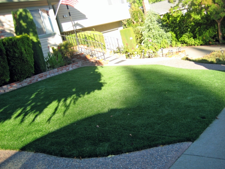 Fake Turf East Bridgewater Massachusetts Lawn