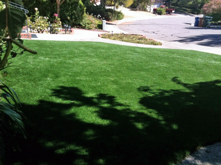 Fake Turf Rowley Massachusetts Lawn Recreational Areas