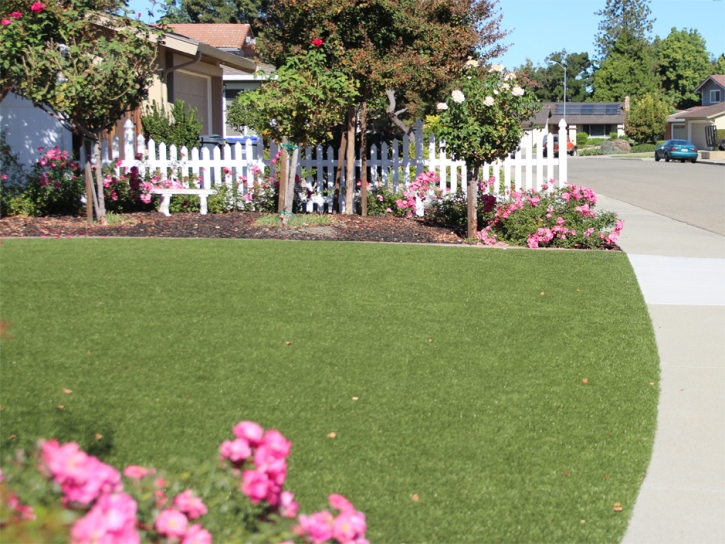 Fake Turf Southborough Massachusetts Lawn Back Yard