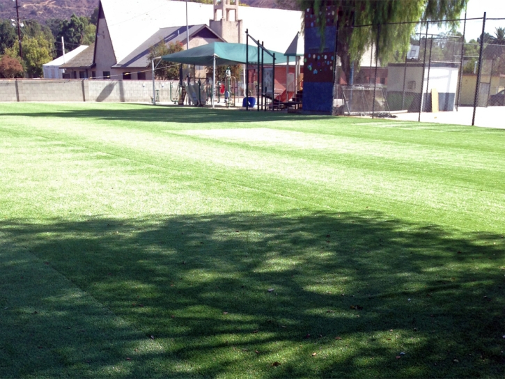 Fake Turf Sports Norton Massachusetts Front Yard