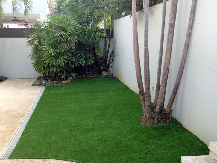 Synthetic Grass Essex Massachusetts Lawn Front Yard