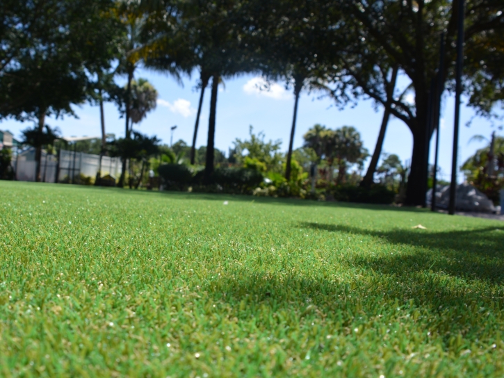 Synthetic Grass Lunenburg, Massachusetts Rooftop, Recreational Areas