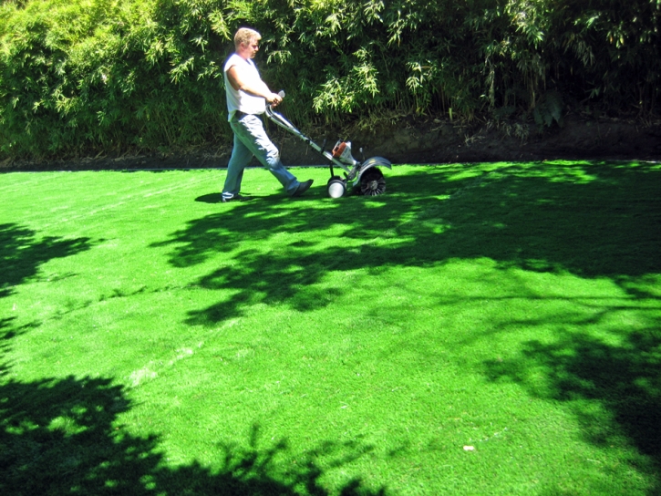 Synthetic Grass Marshfield Massachusetts Landscape Front
