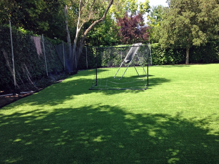 Synthetic Grass Stadium Abington Massachusetts Back Yard