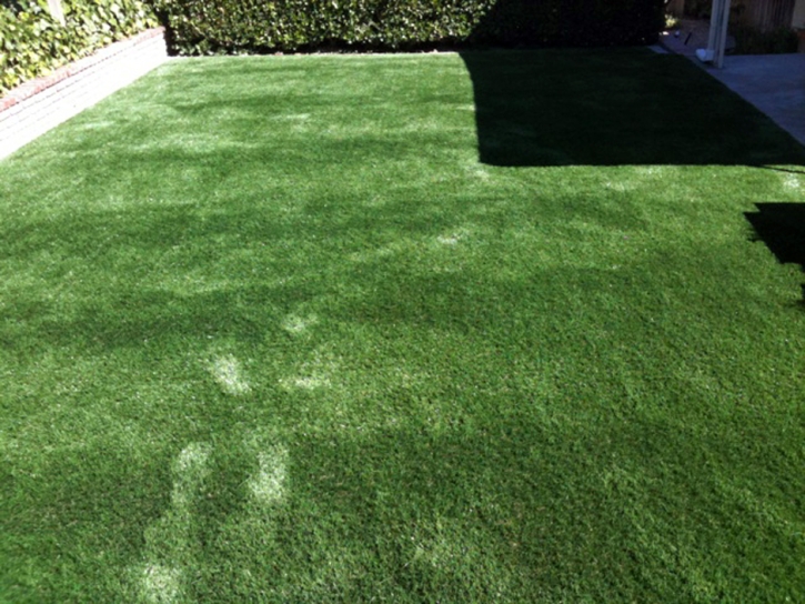 Synthetic Pet Grass Gloucester Massachusetts for Dogs Front