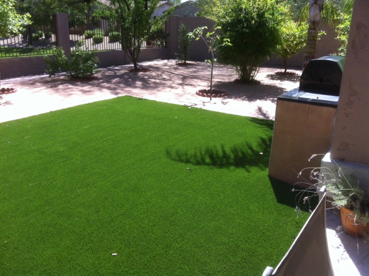 Synthetic Pet Grass Hampstead New Hampshire for Dogs