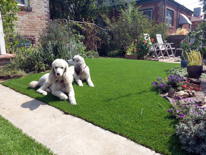 Synthetic Pet Turf Hudson Massachusetts for Dogs