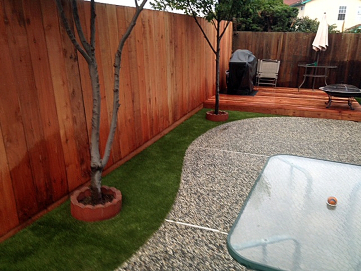 Synthetic Pet Turf Salisbury Massachusetts Installation Commercial