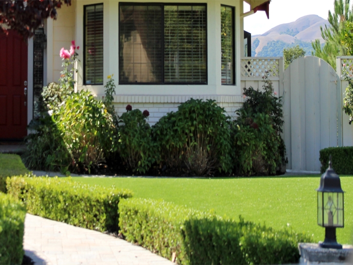 Synthetic Turf Franklin Massachusetts Lawn Commercial Landscape