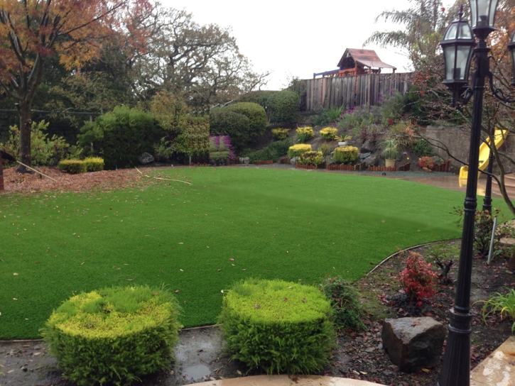 Synthetic Turf Halifax Massachusetts Lawn