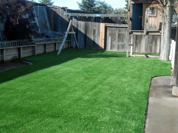 Synthetic Turf Medway Massachusetts Landscape Front Yard